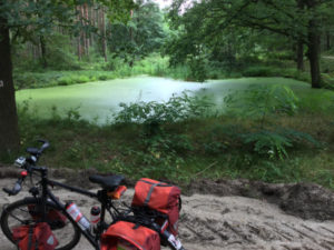 Sackwitzer Mühle - Wasserlinsen Berlin-Leipzig-Radweg