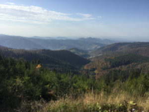 Schwarzmiss Aussicht Kaltenbronn Gernsbach Nordschwarzwald Radtour