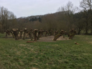 Unstruttal zwischen Nägelstädt und Großvargula in Bad Langensalza