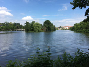 Altenburg - Großer Teich - Inselzoo - Thüringer Städtekette - Radtour in Thüringen