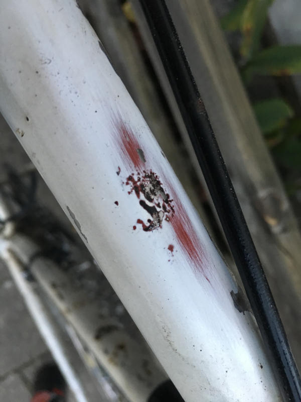 Das rote FahrradFressMonster Wie man Rost entfernt