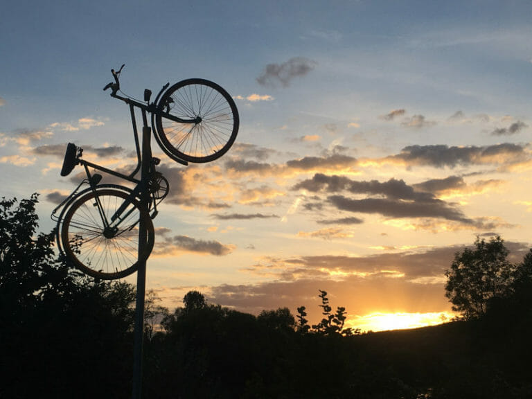 SchonungenFahrradinderLuftamMainRadweg Radtouren