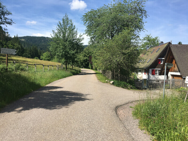 Bärental - Feldberg - schöner Radweg.